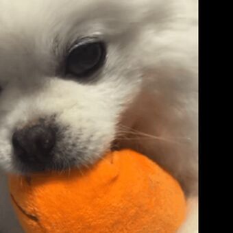 1004ysus Nude Leaks OnlyFans Photo 72