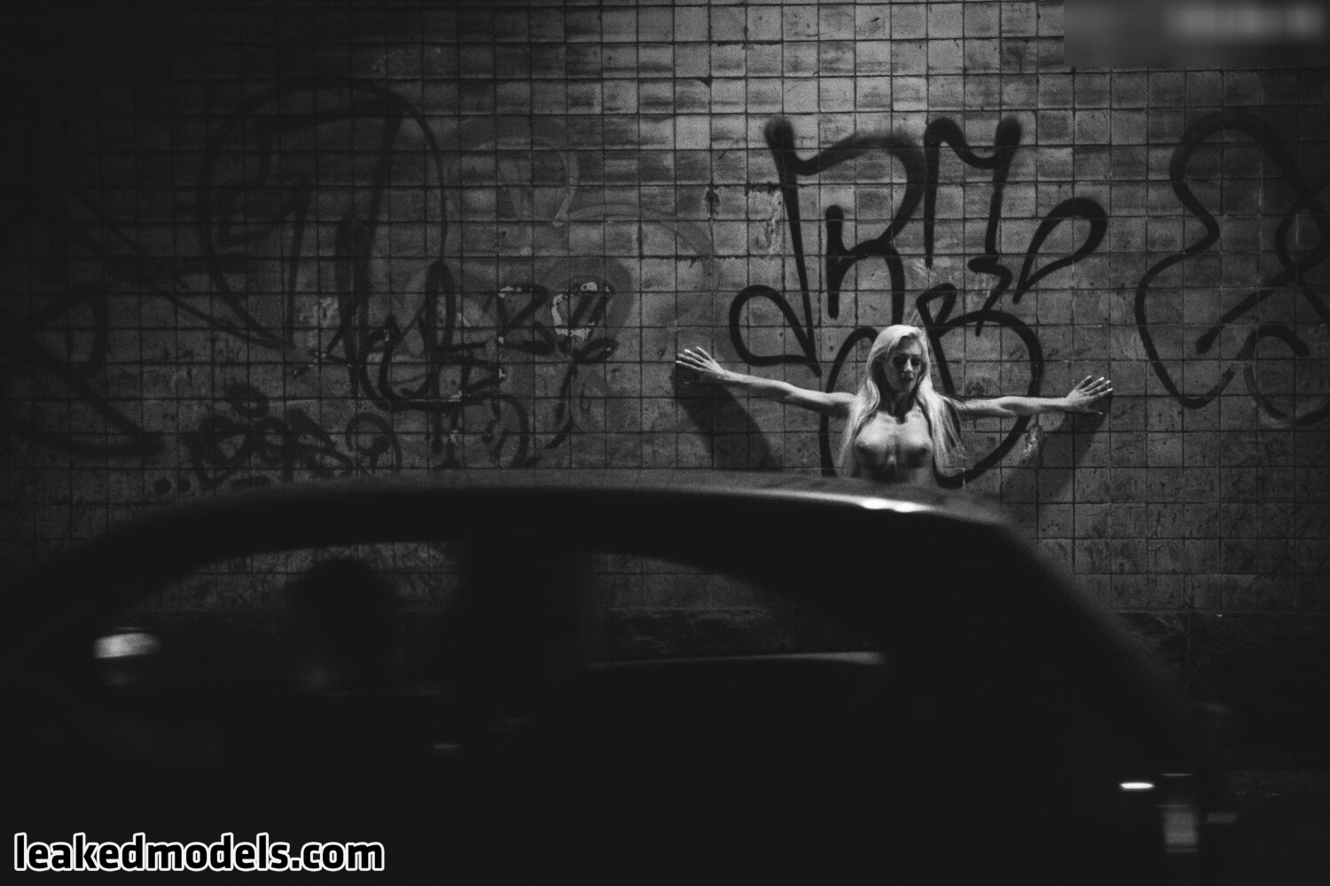 1279 Photo #161