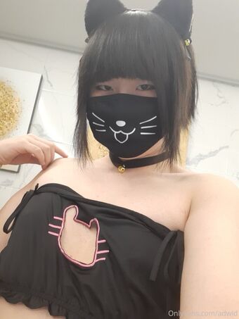 adwid Nude Leaks OnlyFans Photo 20