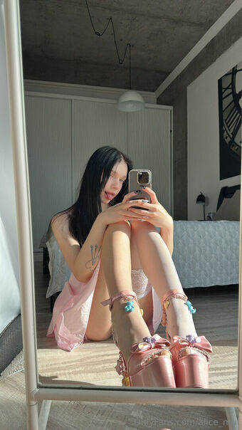 alice_mul