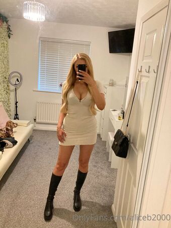 aliceb2000 Nude Leaks OnlyFans Photo 2