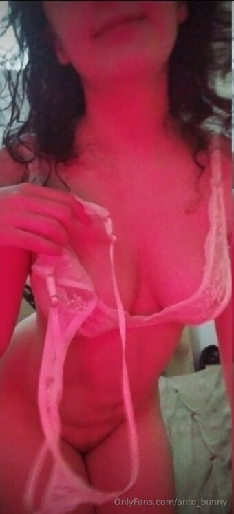 anto_bunny