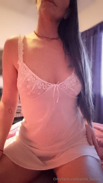 anto_bunny