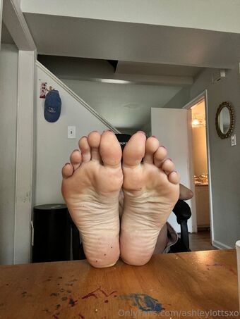 ashleylottsxo Nude Leaks OnlyFans Photo 42
