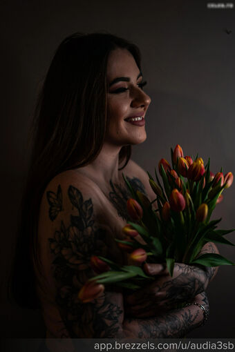 Audia3sb / helenaa.a3