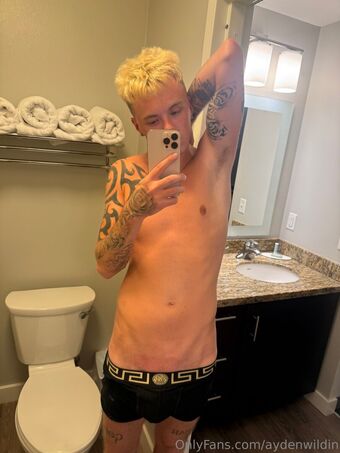 aydenwildin
