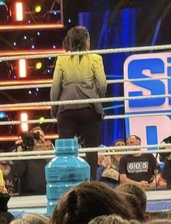 Bayley