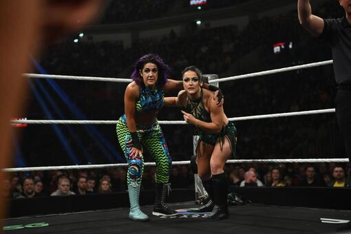 Bayley Nude Leaks OnlyFans Photo 647