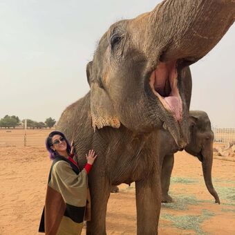 Bayley Nude Leaks OnlyFans Photo 678