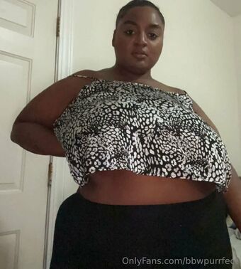 bbwpurrfect