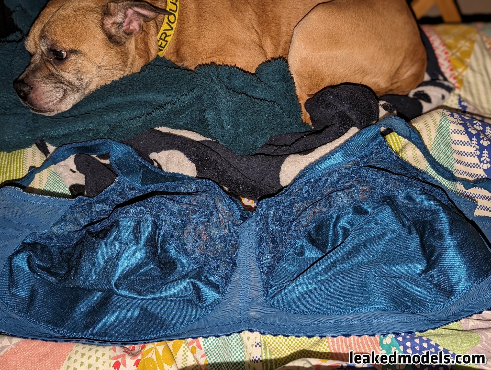 bbwraven75 / p10_bbw Photo #33