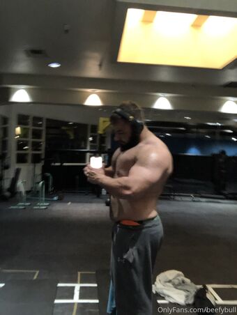 beefybull