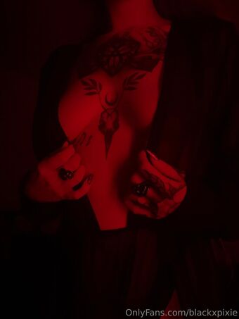 blackxpixie Nude Leaks OnlyFans Photo 19
