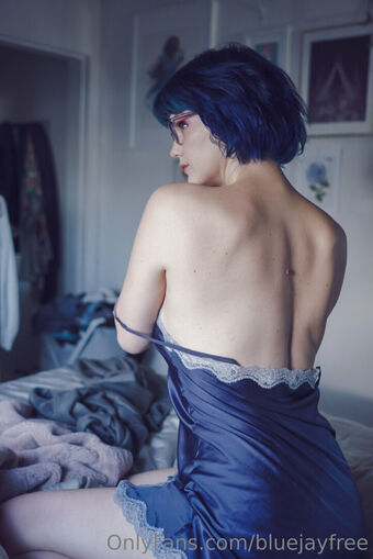 bluejayfree