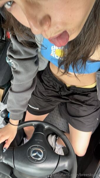 breeskylar