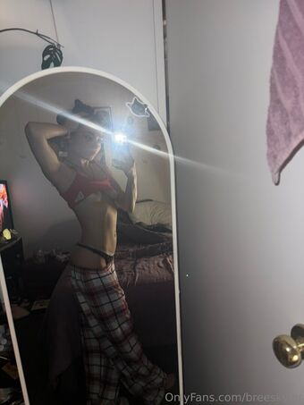 breeskylar Nude Leaks OnlyFans Photo 45