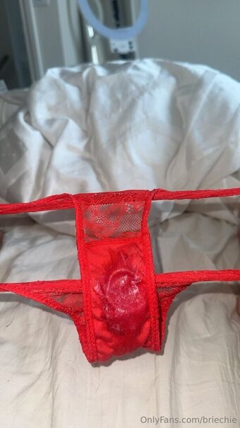 briechie Nude Leaks OnlyFans Photo 13