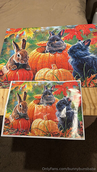 bunnybunsbabe