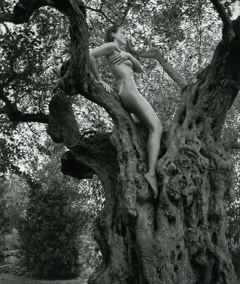 Caroline Beil Nude Leaks OnlyFans Photo 59