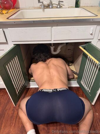 catbackwdp Nude Leaks OnlyFans Photo 14
