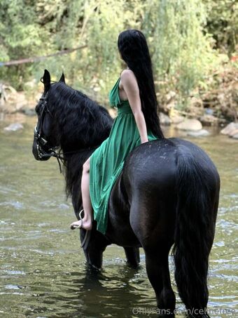 celinefree