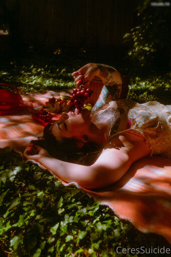 Ceres Suicide
