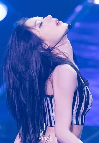Chaeryeong Nude Leaks OnlyFans Photo 242