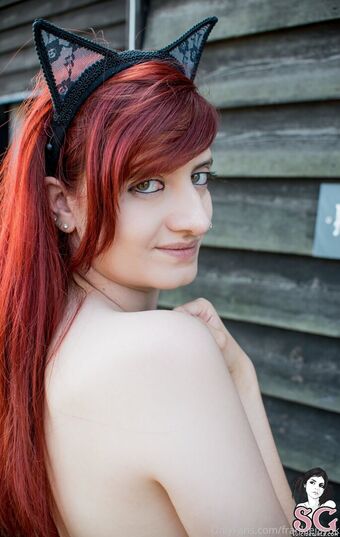 chessie_x
