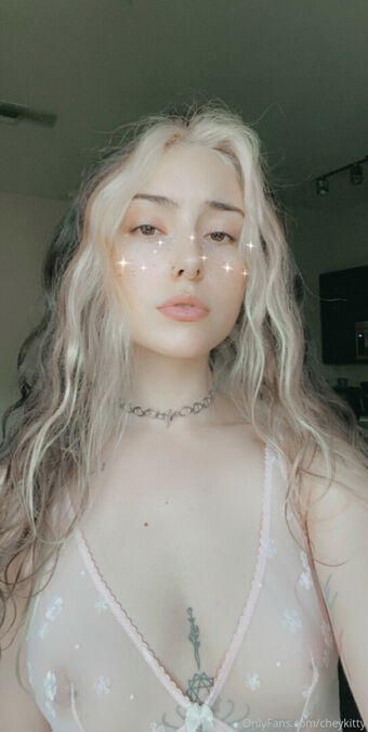 Chey Kitty Nude Leaks OnlyFans Photo 5
