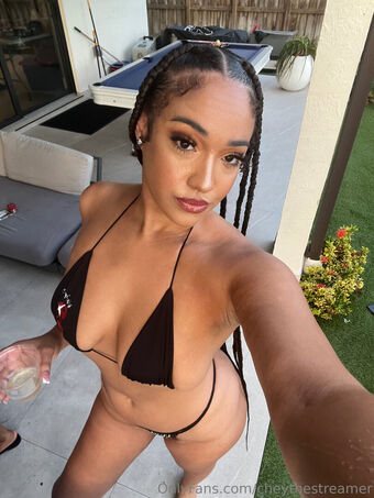 cheythestreamer Nude Leaks OnlyFans Photo 35