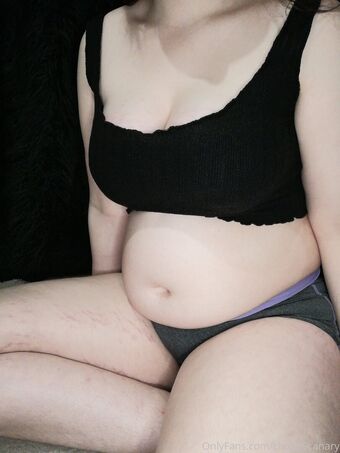 chubbycanary Nude Leaks OnlyFans Photo 10