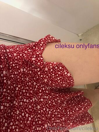 cileksu Nude Leaks OnlyFans Photo 8
