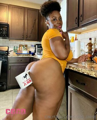 coco_anise Nude Leaks OnlyFans Photo 13