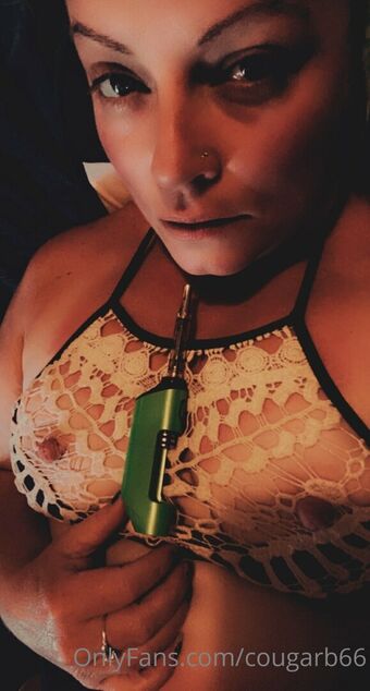 cougarb66