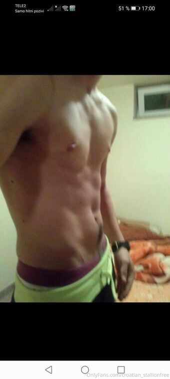 croatian_stallionfree