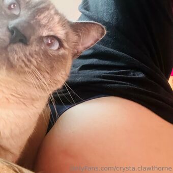 crysta.clawthorne Nude Leaks OnlyFans Photo 23