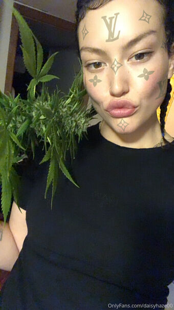 daisyhaze00