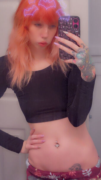 destinybat