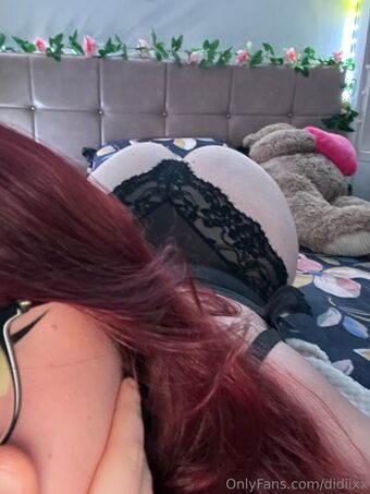 didiixx Nude Leaks OnlyFans Photo 12