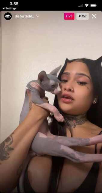 Distortedd Nude Leaks OnlyFans Photo 39