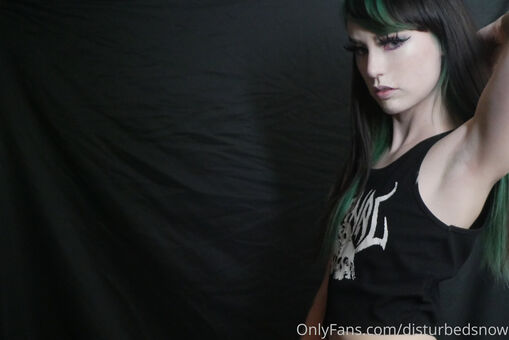 disturbedsnow