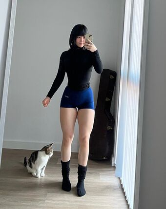 Dodo