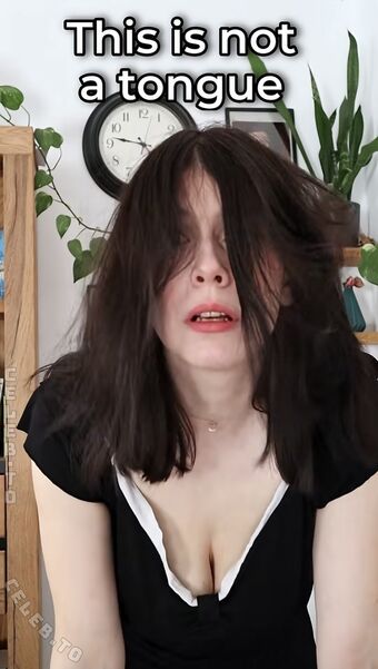 Dont Trust The Rabbit