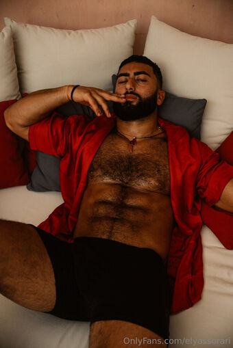 elyassorari