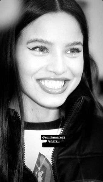 emiliamernes