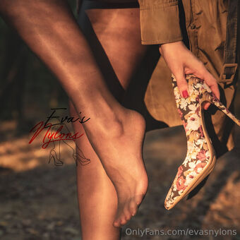 evasnylons