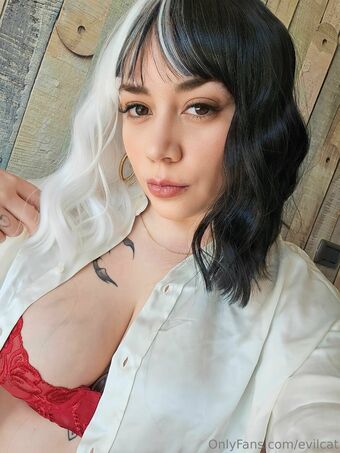 evilcat Nude Leaks OnlyFans Photo 12