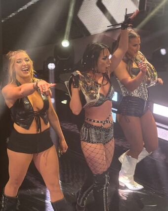 Fallon Henley (WWE) Nude Leaks OnlyFans Photo 47