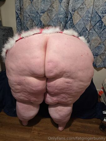 fatgingerbunny
