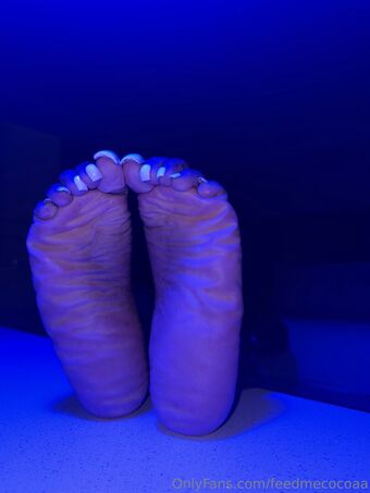 feedmecocoaa Nude Leaks OnlyFans Photo 20